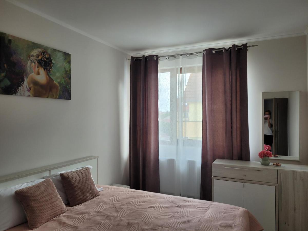 Amparo Apartamento Satu Mare Exterior foto