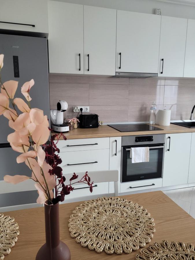 Amparo Apartamento Satu Mare Exterior foto